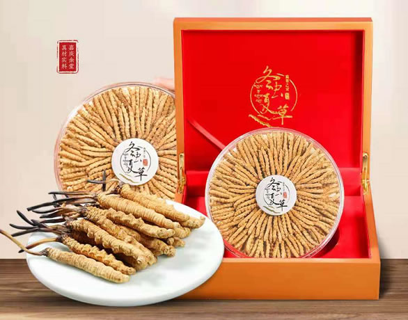 回收冬蟲(chóng)夏草對(duì)采挖后的蟲(chóng)草的保存
